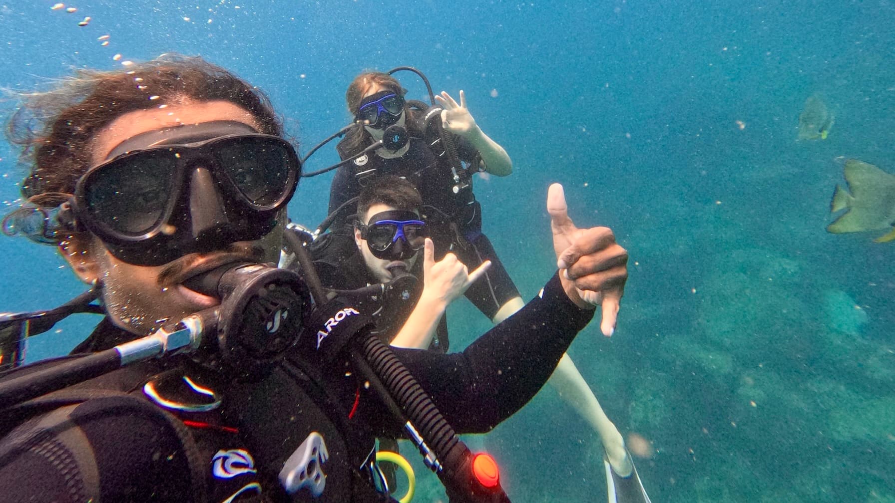 DSD — 1 Dive — Mirissa, Mirissa Collective